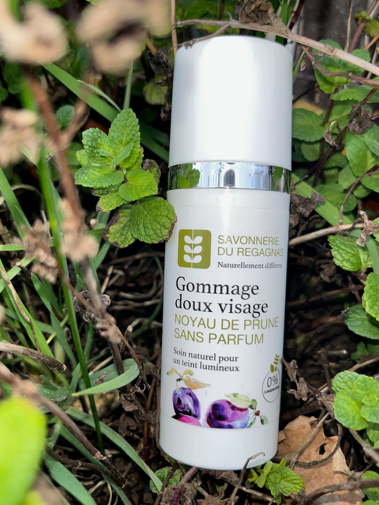 Gommage visage doux à la poudre de noyaux de prune sans parfum - MON BIO CONCEPT